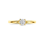 ring zirkonia 14K geelgoud