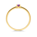 Ring mit Geburtsstein Amethyst Februar 14K Gelbgold