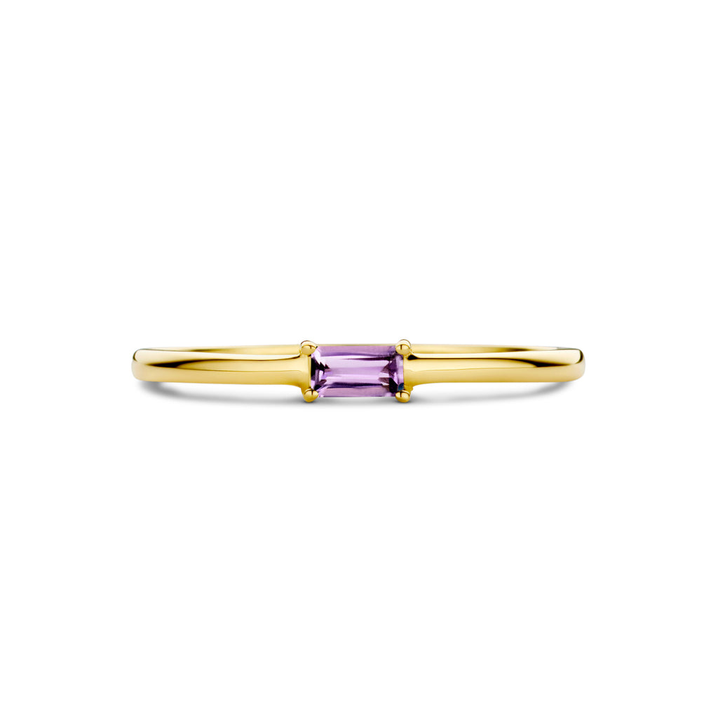 ring met geboortesteen amethist juni 14K geelgoud