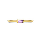 ring met geboortesteen amethist juni 14K geelgoud