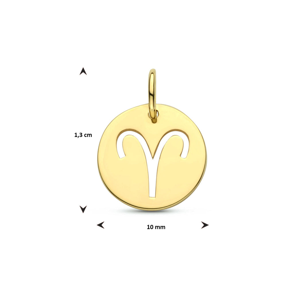 hanger sterrenbeeld 13 mm 14K geelgoud