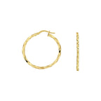 Oorringen gedraaide buis 2,0 mm zilgold (geelgoud met zilverkern)