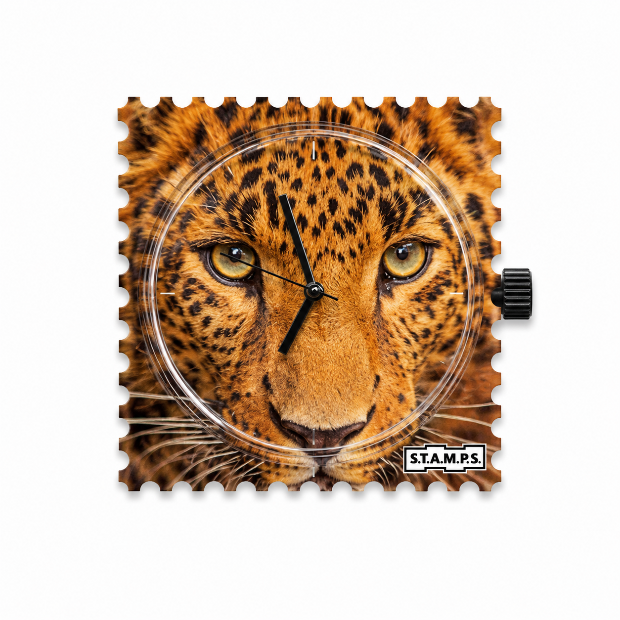 S.T.A.M.P.S. – Wild Leopard