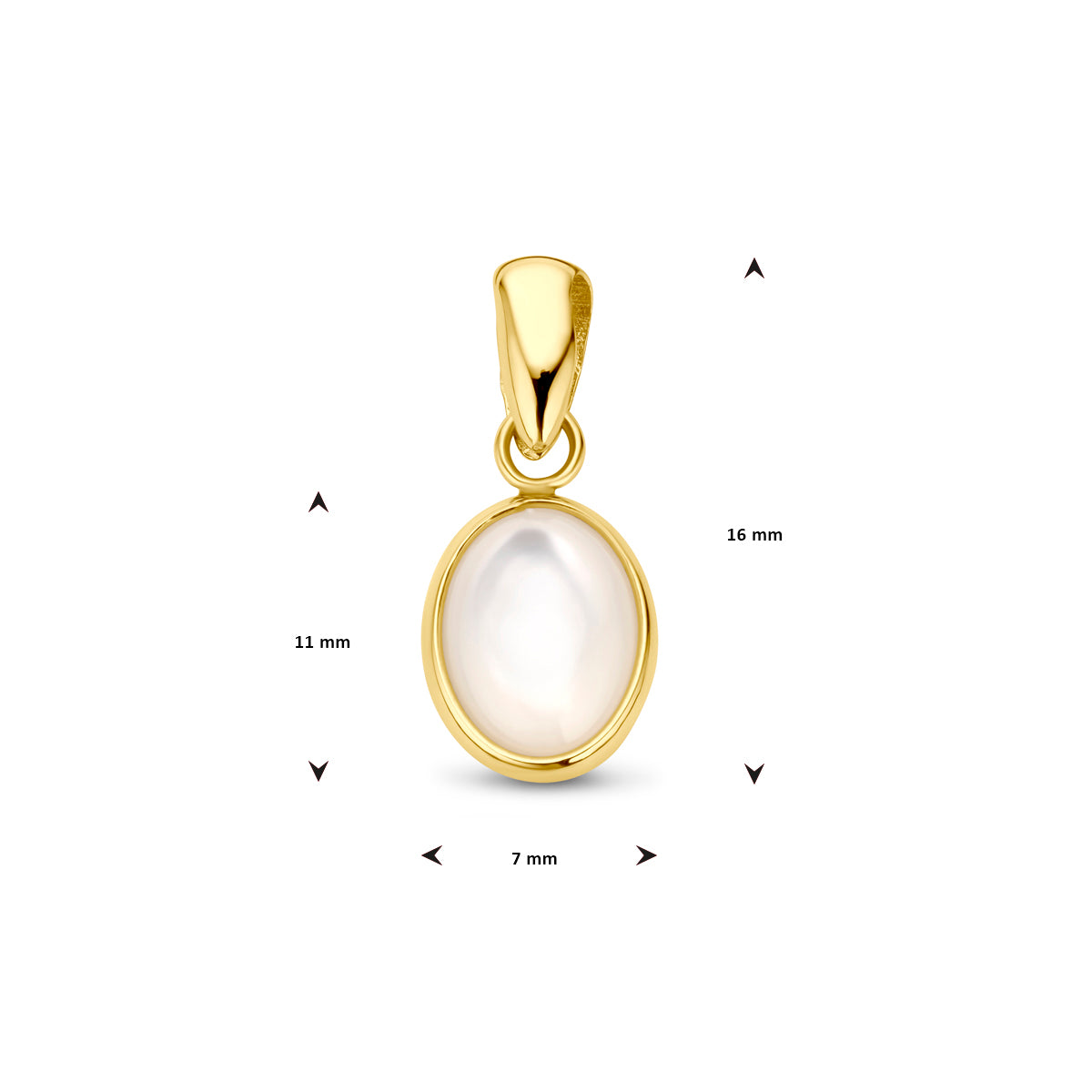 hanger parelmoer 14K geelgoud