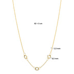 collier 42 + 3 cm 14K geelgoud