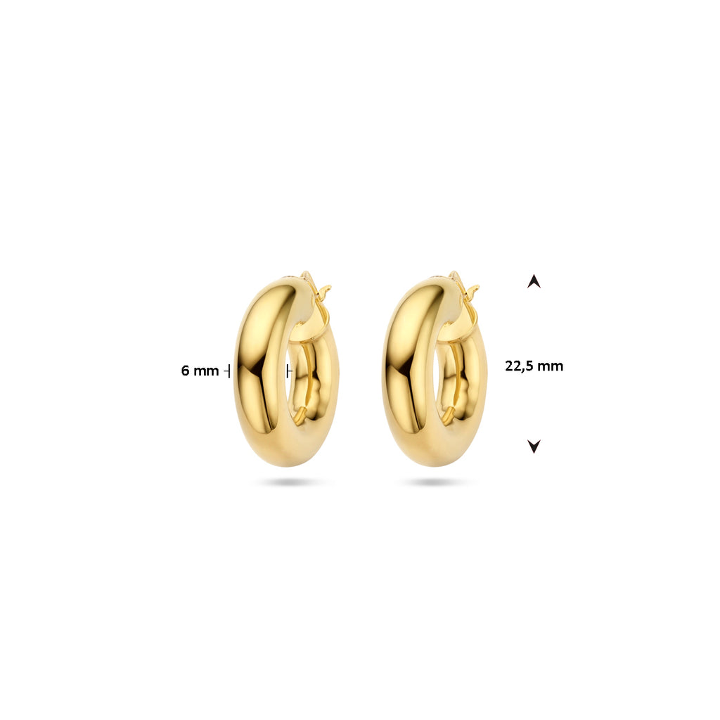 oorringen 6,0 mm ronde buis 1 micron zilver verguld (geel) - rond