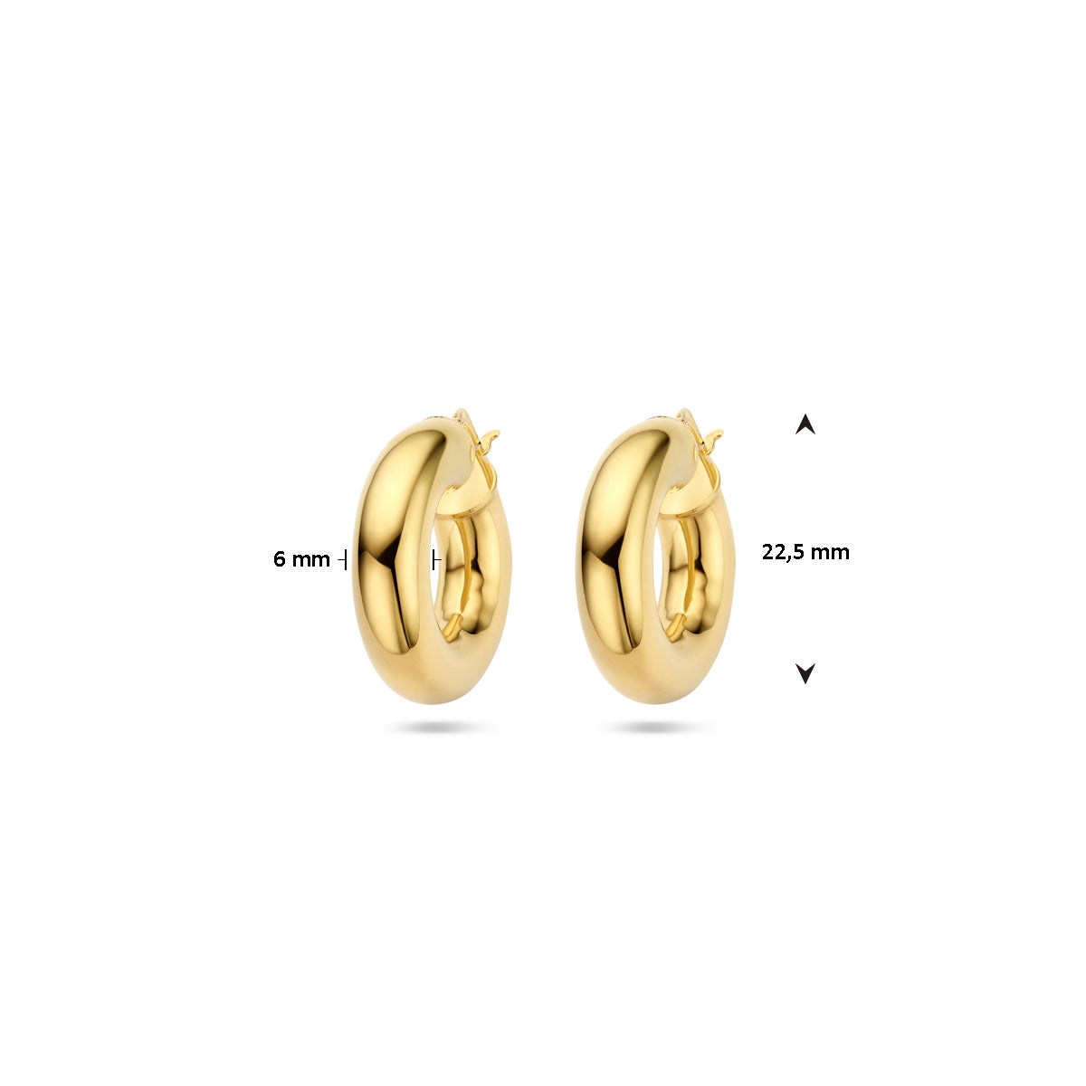oorringen 6,0 mm ronde buis 1 micron zilver verguld (geel) - rond