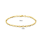 armband anker massief 3,0 mm 19 cm silgold (geel met zilverkern)