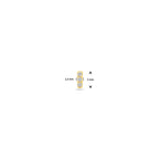 flat back piercing zirkonia 5 mm 14K geelgoud