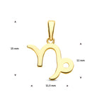 hanger sterrenbeeld 14K geelgoud