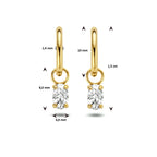 klapoorringen zirkonia 14K geelgoud
