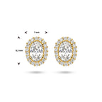 oorknoppen zirkonia halo 14K geelgoud