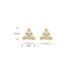 Ohrstecker Diamant 0,05 ct (2x 0,025 ct) h p1 14K Gelbgold