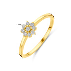 Ring Zirkonia 14K Gelbgold