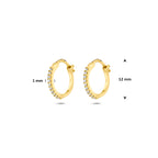 oorringen zirkonia buis 1 mm 14K geelgoud