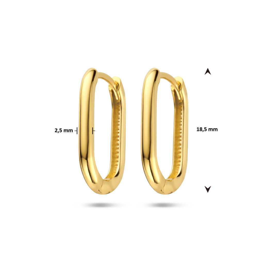 klapoorringen paperclip 14K geelgoud - ovaal
