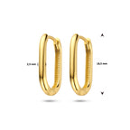 klapoorringen paperclip 14K geelgoud - ovaal