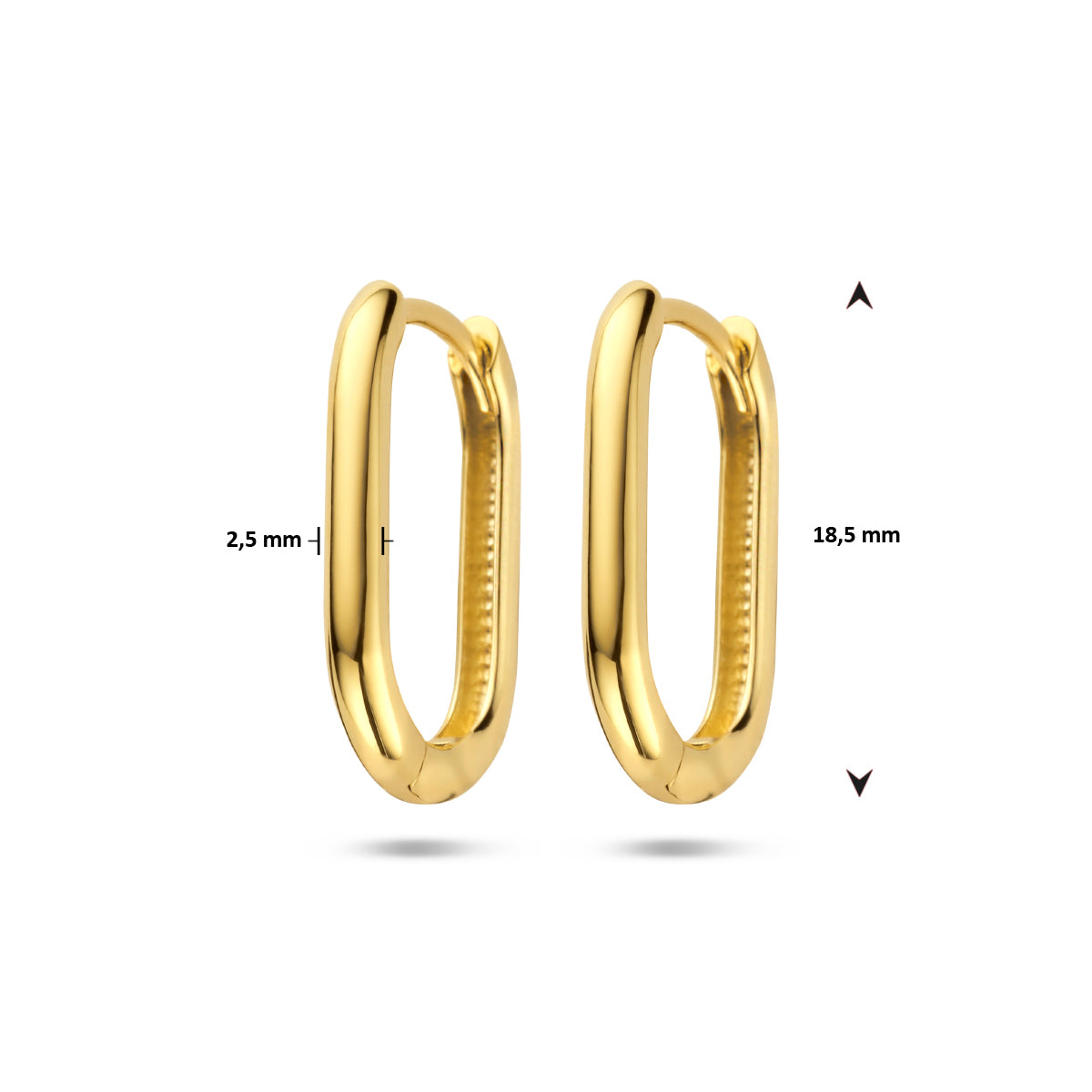 klapoorringen paperclip 14K geelgoud - ovaal