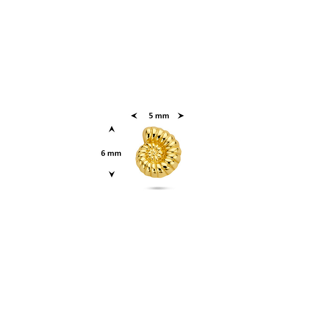 Flat Back Piercing Muschel 6 mm 1 Mikron Silber vergoldet (gelb)