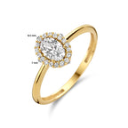 ring zirkonia halo 14K geelgoud