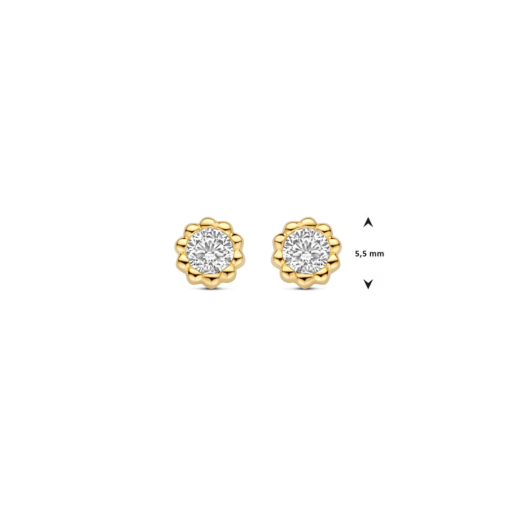 Ohrstecker Zirkonia 5,5 mm 14K Gelbgold