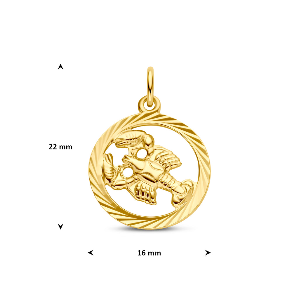 hanger sterrenbeeld gediamanteerd 14K geelgoud