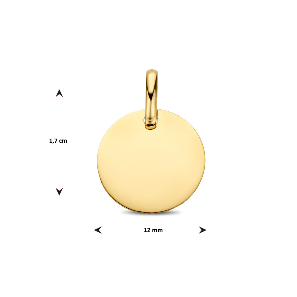 Gravuranhänger rund 14K Gelbgold
