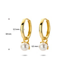 Ohrringe Perlen 18 mm 14K Gelbgold