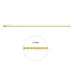 gourmette 1,7 mm 14K geelgoud