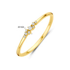 9k ring zirkonia 9K geel