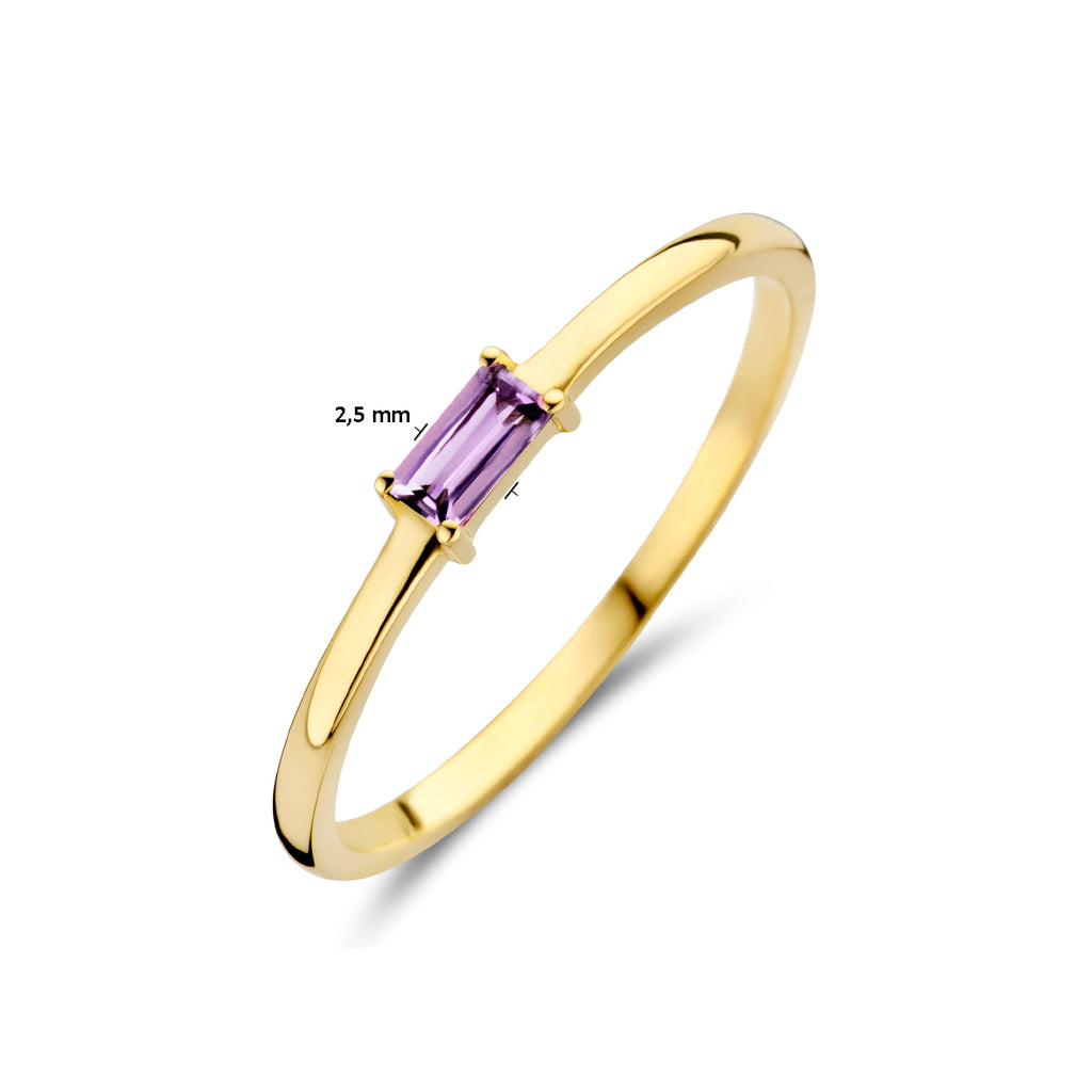 Ring mit Geburtsstein Amethyst Juni 14K Gelbgold