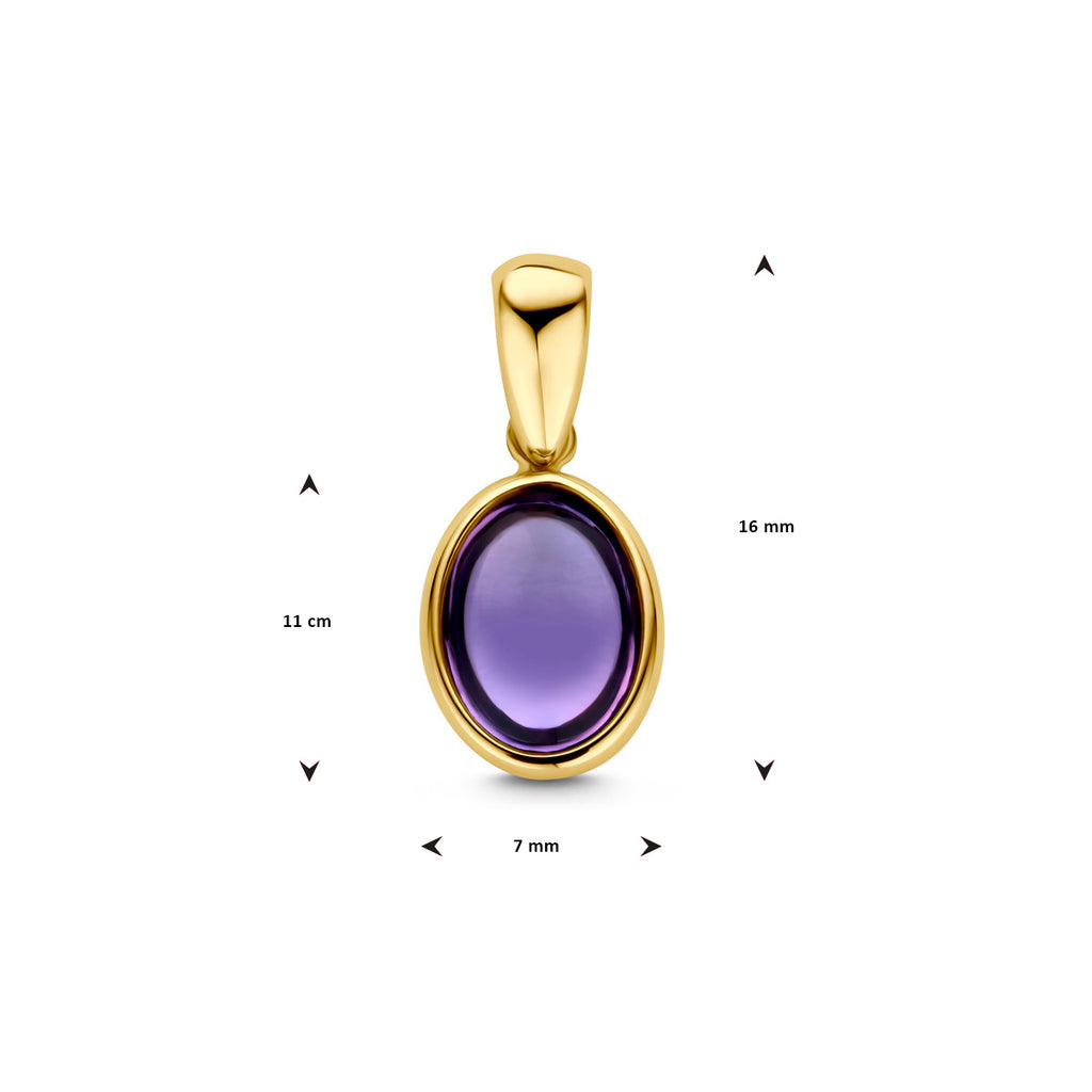 Anhänger Amethyst 14K Gelbgold