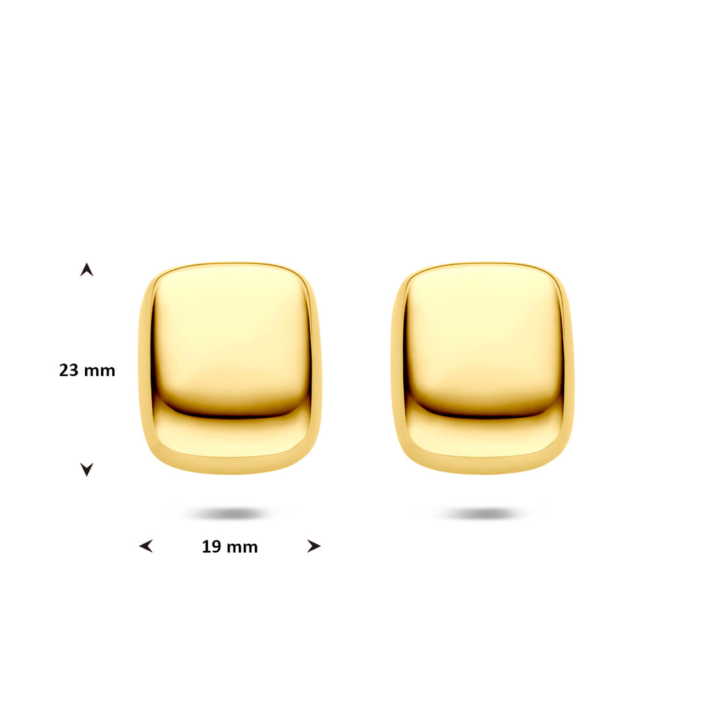 oorknoppen ion plating 23 mm edelstaal