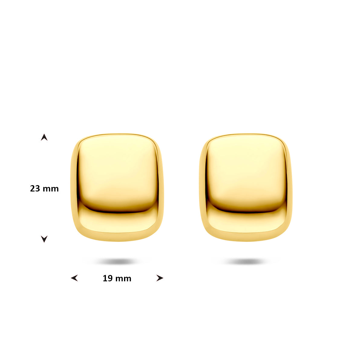 oorknoppen ion plating 23 mm edelstaal