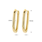 klapoorringen paperclip 14K geelgoud