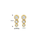 Ohrstecker Zirkonia 14K Gelbgold