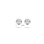oorknoppen zirkonia zilver wit