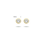 Ohrstecker Zirkonia 14K Gelbgold