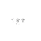 oorknoppen bloem en zirkonia 4,5 mm 14K witgoud