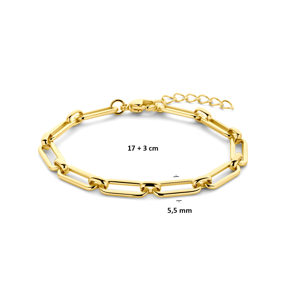 Armband Ionenplattierung 5,5 mm 17 + 3 cm Edelstahl