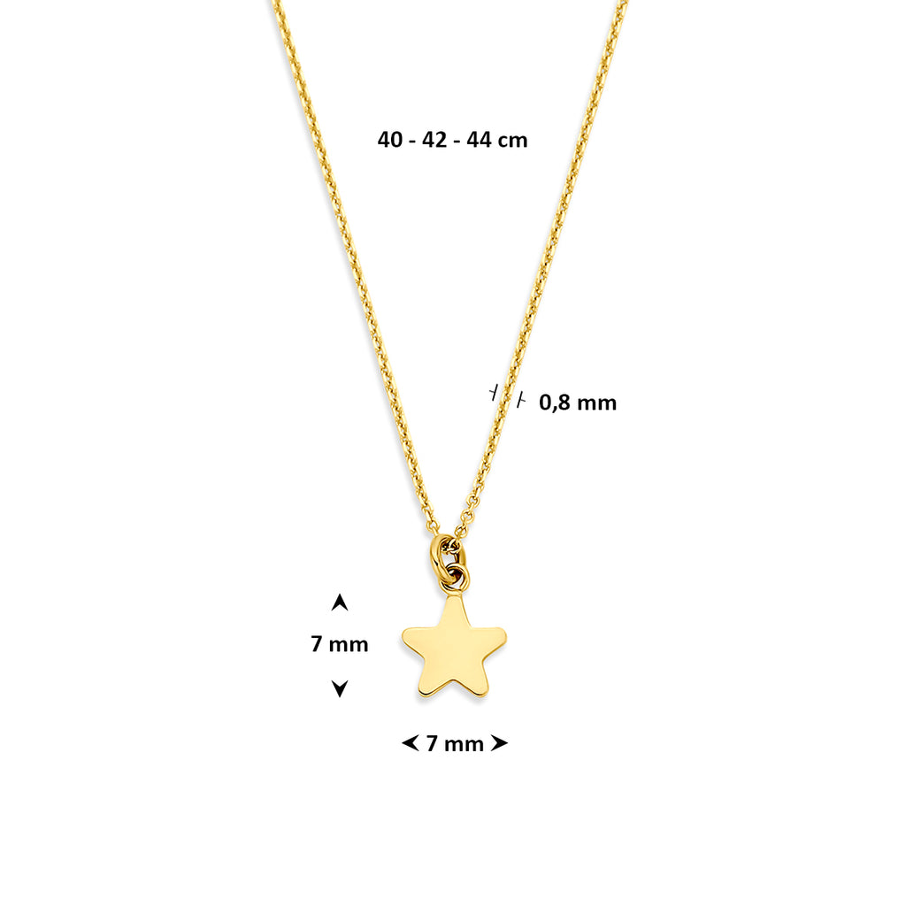collier ster 40 - 42 - 44 cm 14K geelgoud