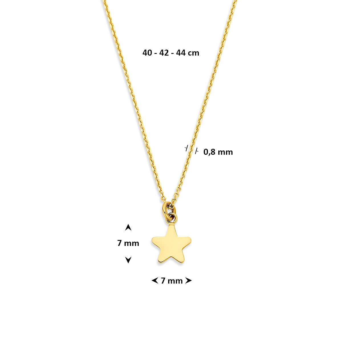 collier ster 40 - 42 - 44 cm 14K geelgoud