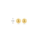 9 Karat Ohrstecker, diamantgeschliffen, 5 mm, 9 K Gelb
