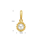 hanger parel 5,5 mm 14K geelgoud
