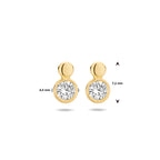 oorknoppen zirkonia 14K geelgoud