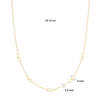 collier ovaaltjes 43 + 2 cm 14K geelgoud - ovaal