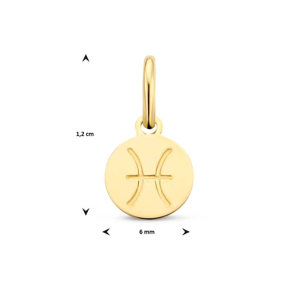 Sternzeichenanhänger 12 mm 14K Gelbgold