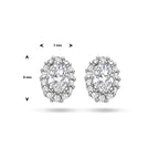 oorknoppen zirkonia halo zilver gerhodineerd