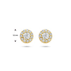 oorknoppen zirkonia halo 14K geelgoud