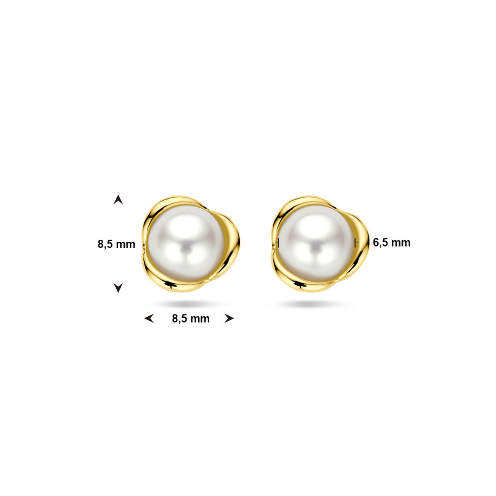 oorknoppen parel 14K geelgoud